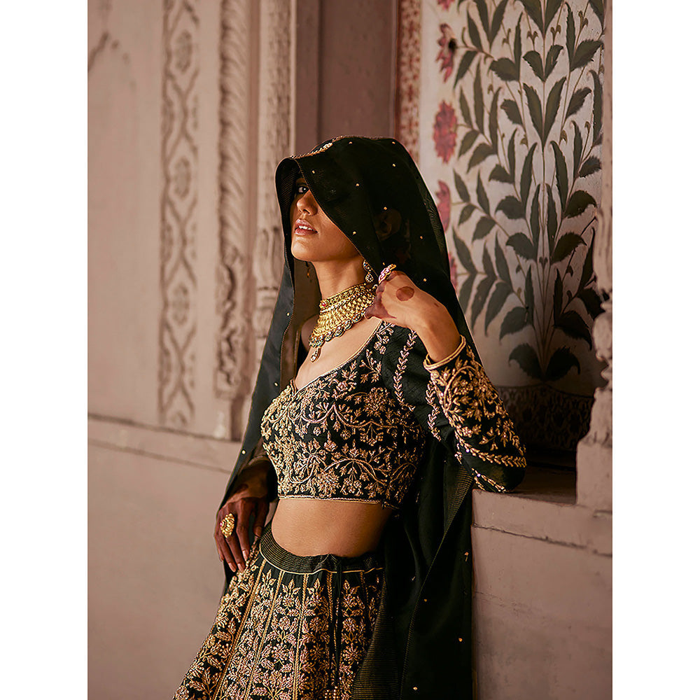 WeaverStory Black Dual Shade Hand Zardozi Lehenga with Choli and Organza Dupatta (Set of 3)