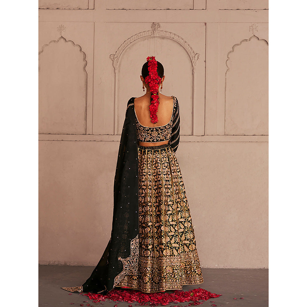 WeaverStory Black Dual Shade Hand Zardozi Lehenga with Choli and Organza Dupatta (Set of 3)