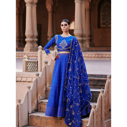 WeaverStory Blue Banarasi Lehenga with Raw Silk Choli and Hand Organza Dupatta (Set of 3)