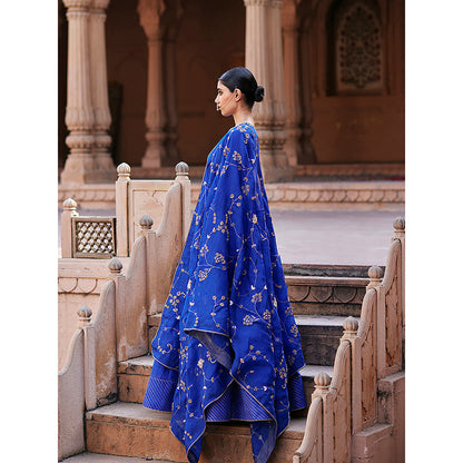 WeaverStory Blue Banarasi Lehenga with Raw Silk Choli and Hand Organza Dupatta (Set of 3)
