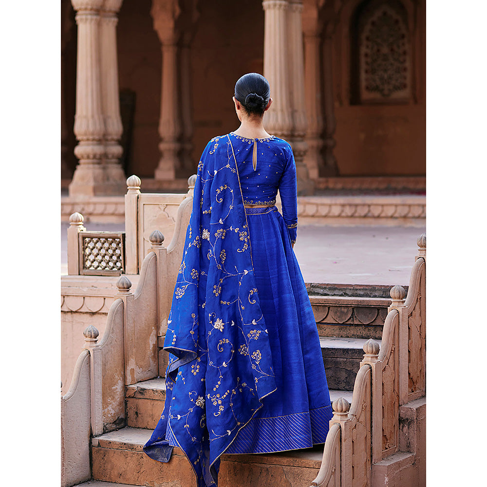 WeaverStory Blue Banarasi Lehenga with Raw Silk Choli and Hand Organza Dupatta (Set of 3)