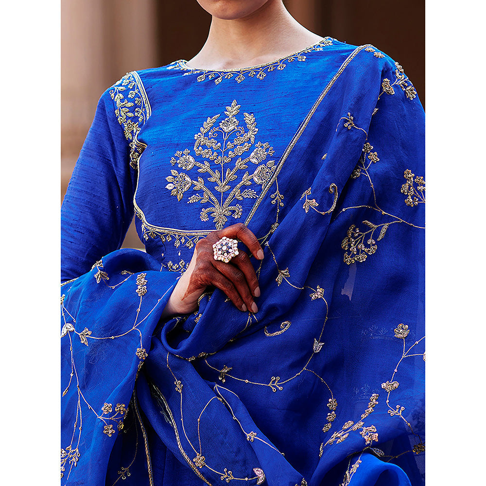 WeaverStory Blue Banarasi Lehenga with Raw Silk Choli and Hand Organza Dupatta (Set of 3)