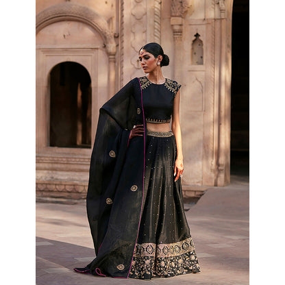 WeaverStory Black Raw Silk Lehenga Skirt with Raglan Choli and Organza Dupatta (Set of 3)