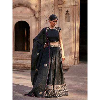 WeaverStory Black Raw Silk Lehenga Skirt with Raglan Choli and Organza Dupatta (Set of 3)