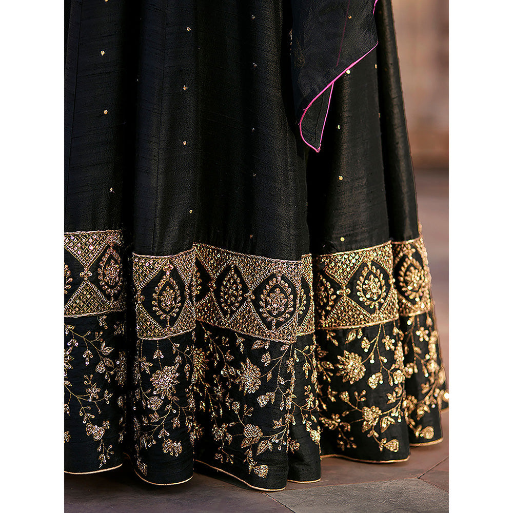 WeaverStory Black Raw Silk Lehenga Skirt with Raglan Choli and Organza Dupatta (Set of 3)