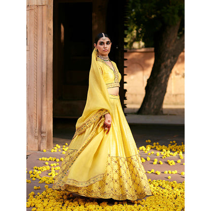WeaverStory Yellow Raw Silk Lehenga with Choli and Organza Dupatta (Set of 3)