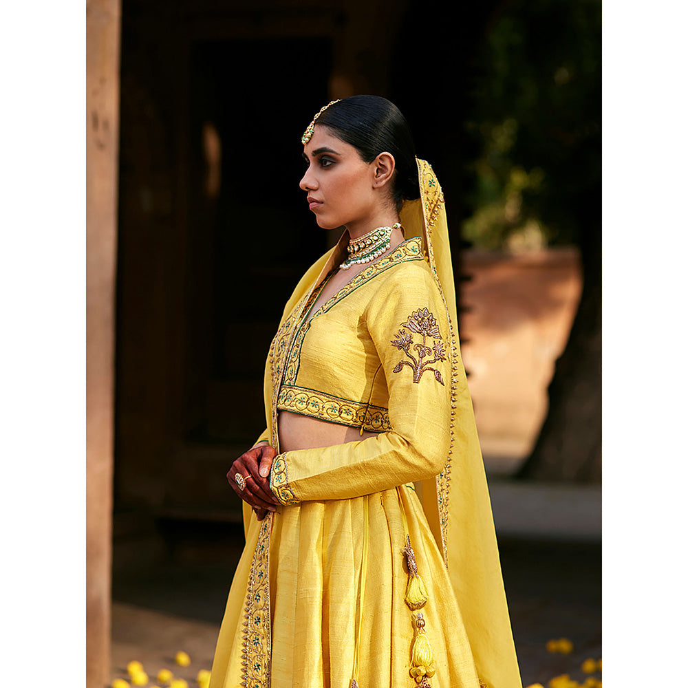 WeaverStory Yellow Raw Silk Lehenga with Choli and Organza Dupatta (Set of 3)