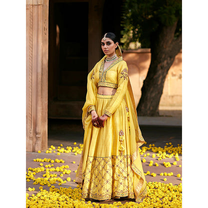 WeaverStory Yellow Raw Silk Lehenga with Choli and Organza Dupatta (Set of 3)