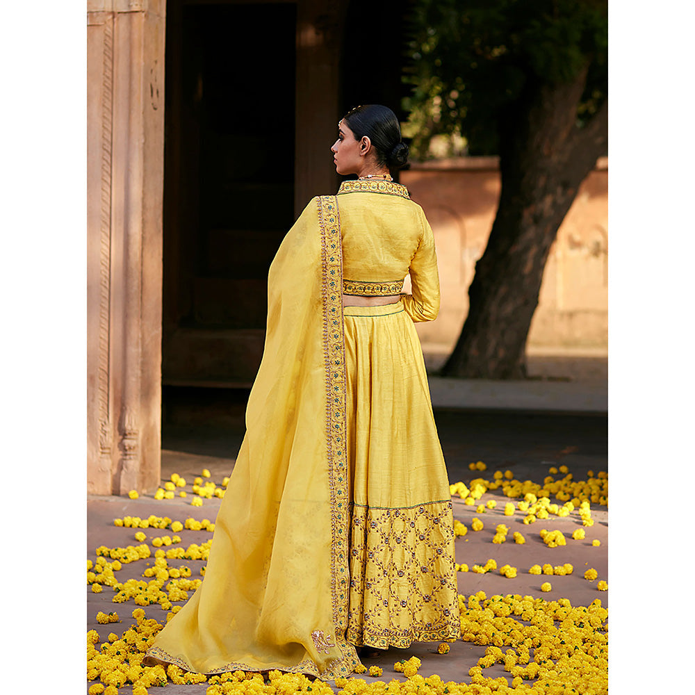 WeaverStory Yellow Raw Silk Lehenga with Choli and Organza Dupatta (Set of 3)