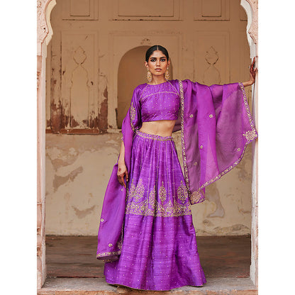 WeaverStory Purple Raw Silk Hand Kalidar Lehenga with Choli and Dupatta (Set of 3)