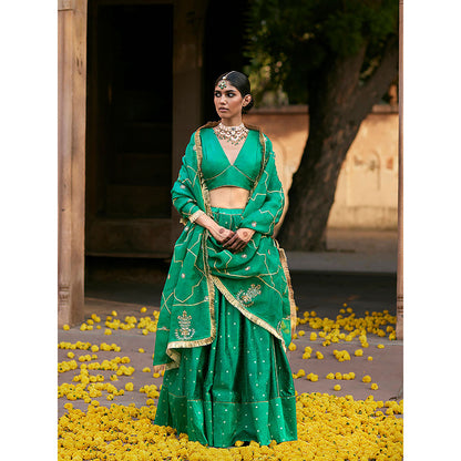 WeaverStory Verdian Green Banarasi Lehenga with Pure Silk Choli and Organza Dupatta (Set of 3)