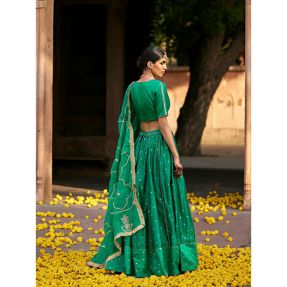 WeaverStory Verdian Green Banarasi Lehenga with Pure Silk Choli and Organza Dupatta (Set of 3)