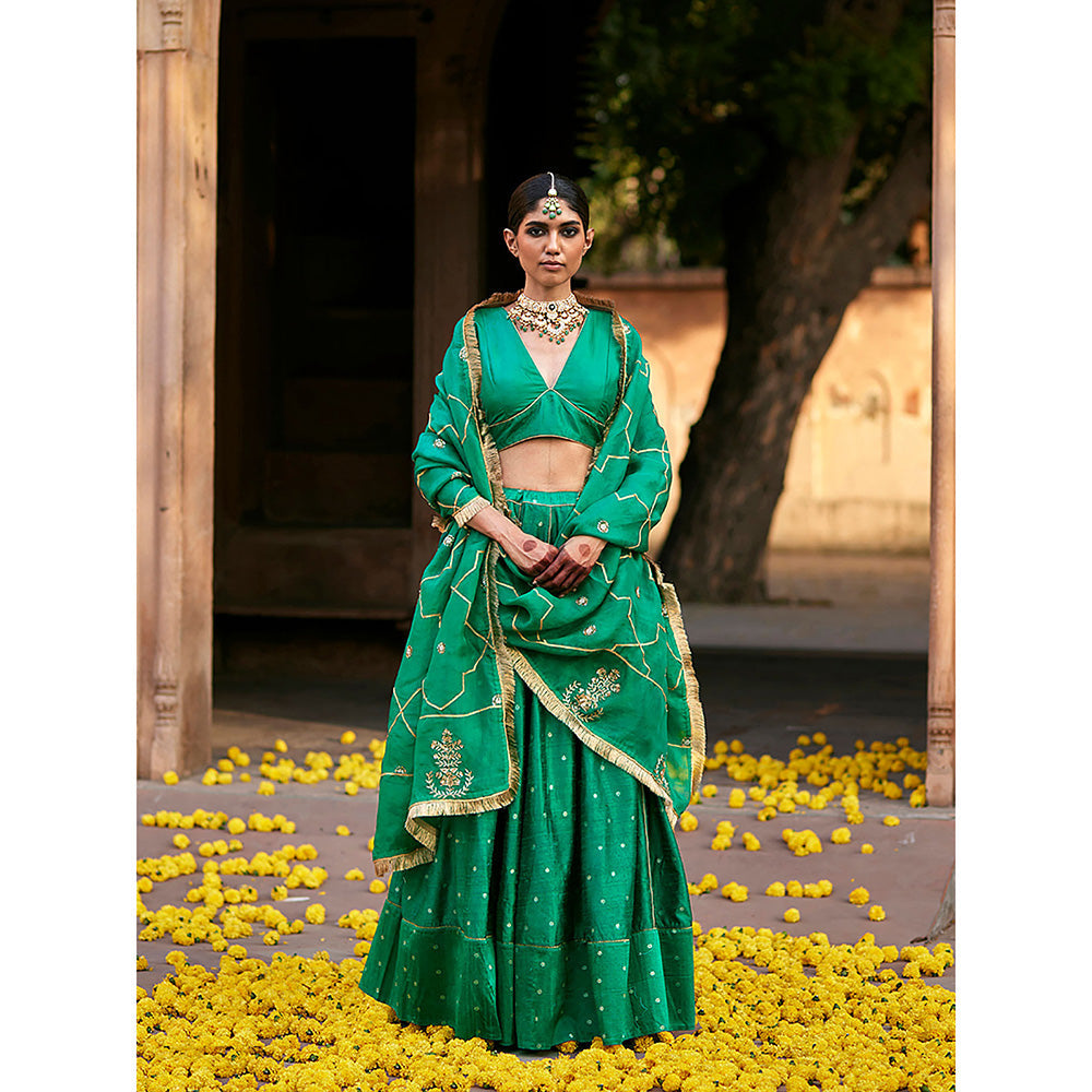 WeaverStory Verdian Green Banarasi Lehenga with Pure Silk Choli and Organza Dupatta (Set of 3)