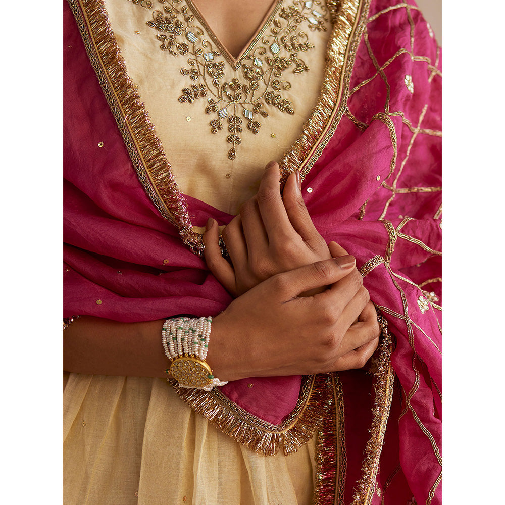 WeaverStory Izhaar Off White Cotton Tissue Kurti with Sharara and Organza Dupatta (Set of 3)