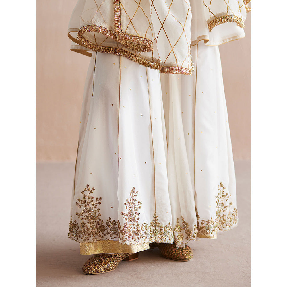 WeaverStory Afsana White Organza Top with Gharara and Dupatta (Set of 3)