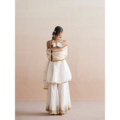 WeaverStory Afsana White Organza Top with Gharara (Set of 2)