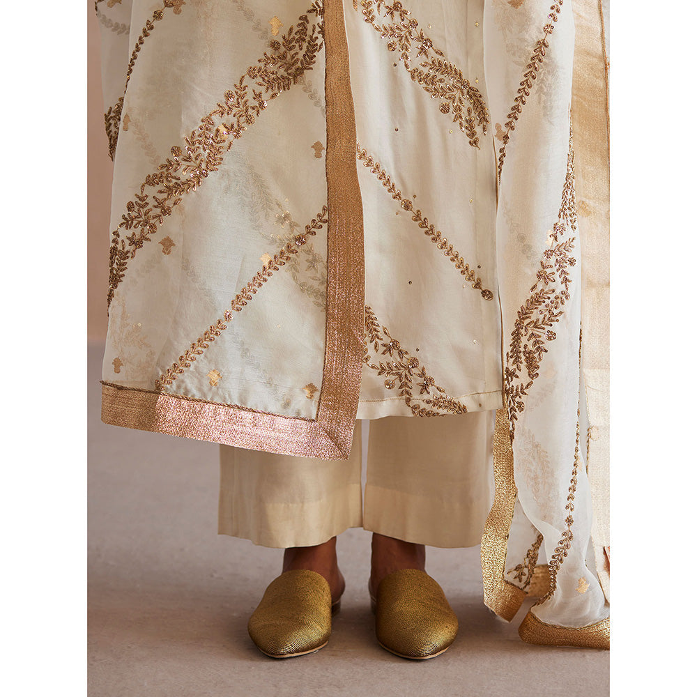 WeaverStory Mahjabeen Organza Angarkha with Pant (Set of 2)