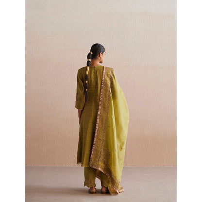 WeaverStory Aayat Chartreuse Green Cotton Tissue Kurta with Pant and Dupatta (Set of 3)