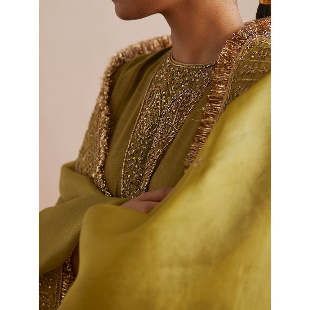 WeaverStory Aayat Chartreuse Green Cotton Tissue Kurta with Pant and Dupatta (Set of 3)