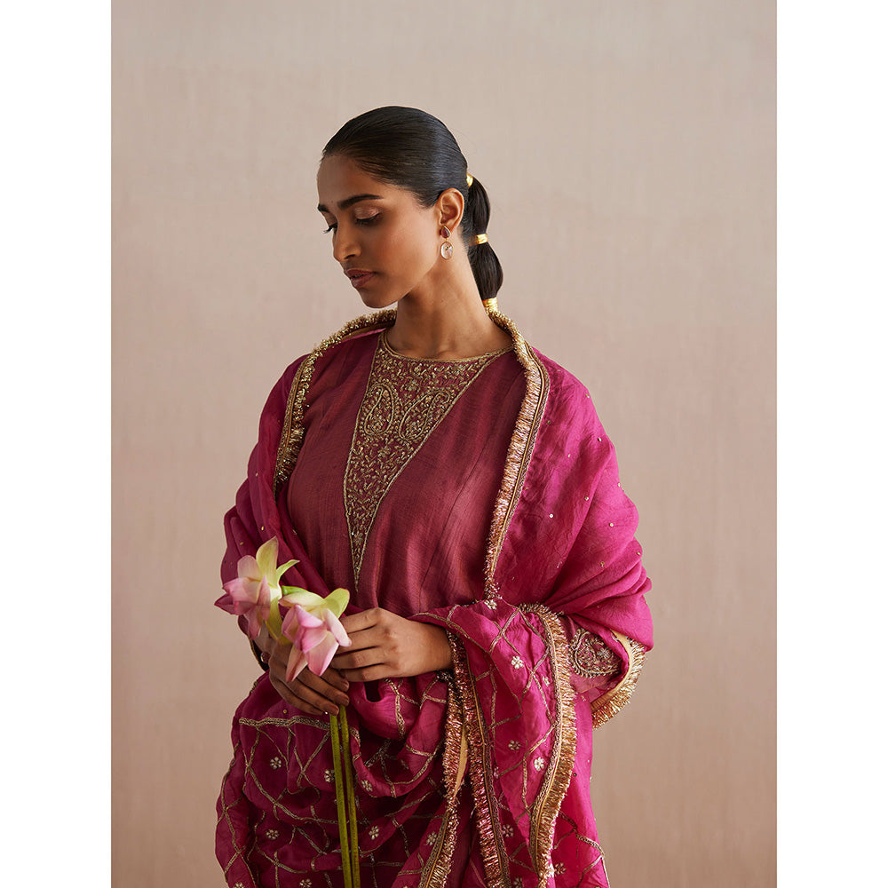 WeaverStory Aayat Rani Pink Cotton Tissue Kurta with Pant and Organza Dupatta (Set of 3)