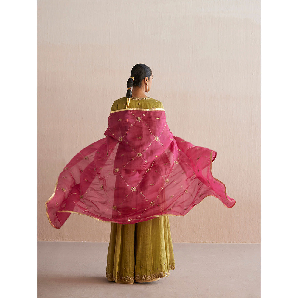 WeaverStory Izhaar Chartreuse Green Cotton Tissue Kurta with Skirt and Dupatta (Set of 3)