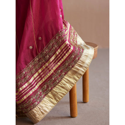 WeaverStory Mastani Rani Pink Cotton Tissue Choli with Lehenga and Dupatta (Set of 3)