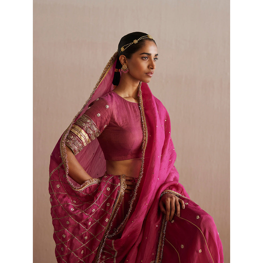 WeaverStory Mastani Rani Pink Cotton Tissue Choli with Lehenga and Dupatta (Set of 3)