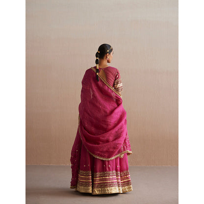 WeaverStory Mastani Rani Pink Cotton Tissue Choli with Lehenga and Dupatta (Set of 3)