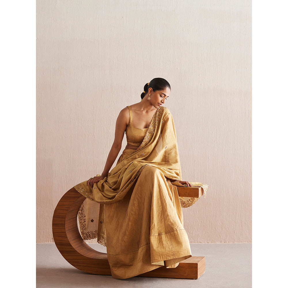 WeaverStory Mastani Gold Tissue Choli with Lehenga (Set of 2)