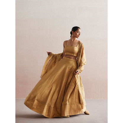 WeaverStory Mastani Gold Tissue Choli with Lehenga and Tissue Dupatta (Set of 3)