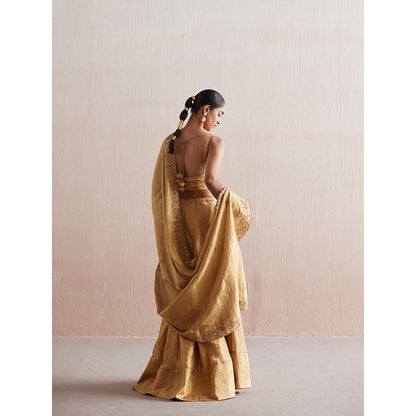 WeaverStory Mastani Gold Tissue Choli with Lehenga and Tissue Dupatta (Set of 3)