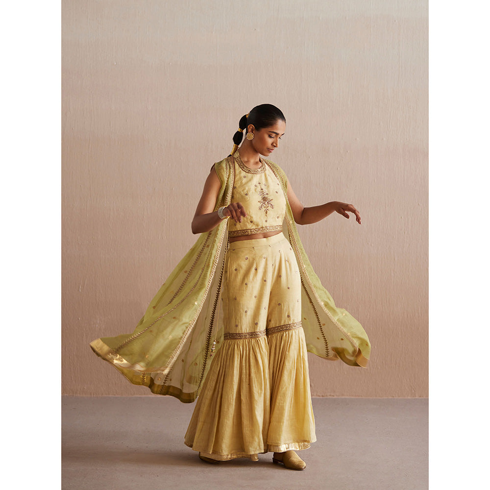 WeaverStory Zehenaseeb Off White Cotton Tissue Crop Top with Gharara and Cape (Set of 3)