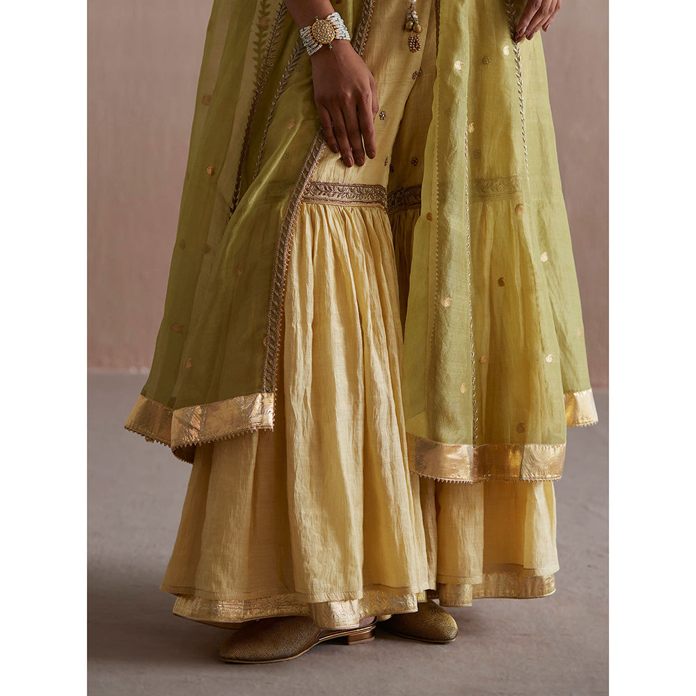 WeaverStory Zehenaseeb Off White Cotton Tissue Crop Top with Gharara and Cape (Set of 3)