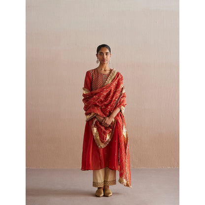 WeaverStory Noor Rust Orange Organza Kurta with Tissue Pant and Dupatta (Set of 3)