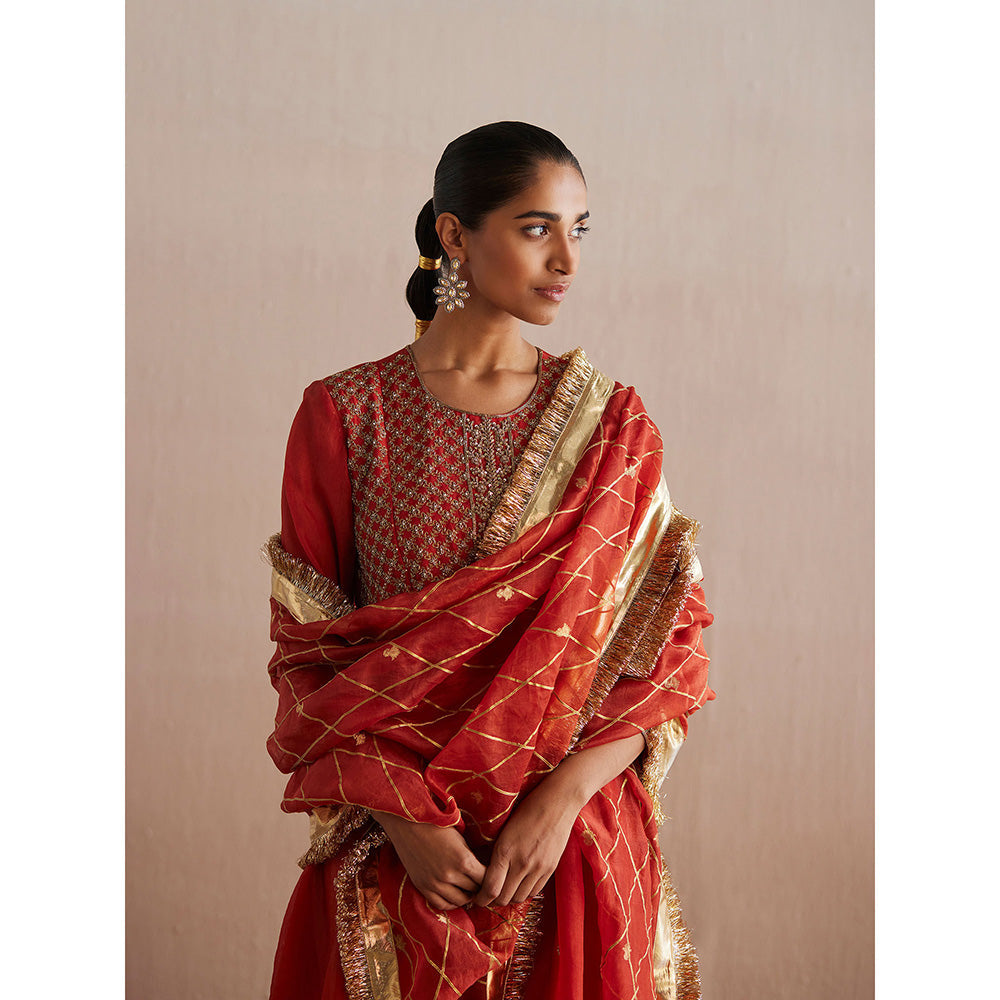 WeaverStory Noor Rust Orange Organza Kurta with Tissue Pant and Dupatta (Set of 3)