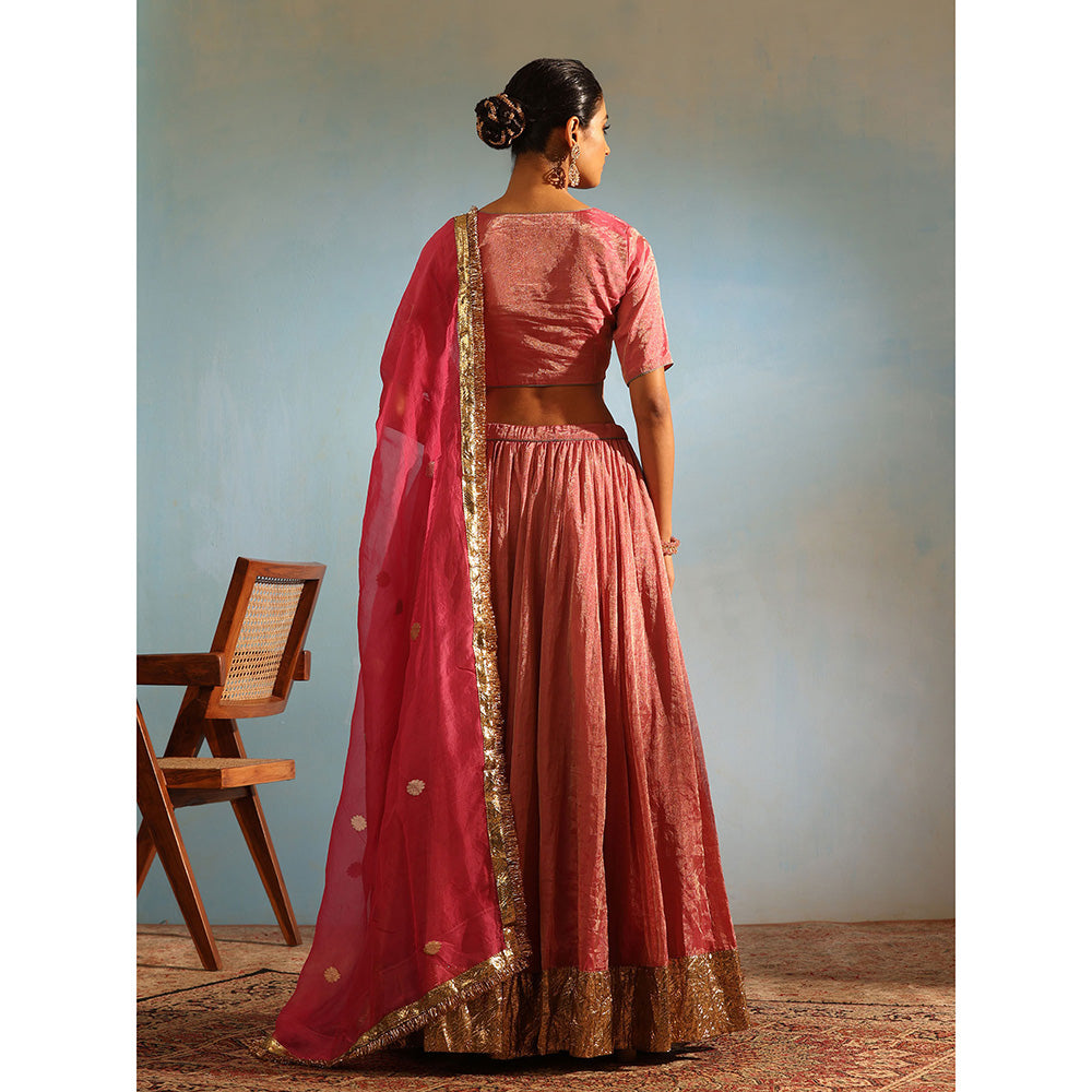 WeaverStory Pink Tissue Silk Lehenga with Choli and Organza Dupatta (Set of 3)