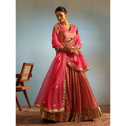 WeaverStory Pink Tissue Silk Lehenga with Choli and Organza Dupatta (Set of 3)