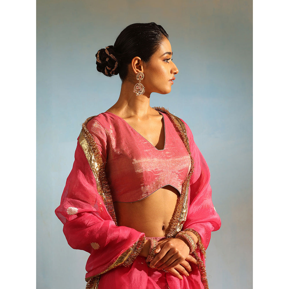 WeaverStory Pink Tissue Silk Lehenga with Choli and Organza Dupatta (Set of 3)