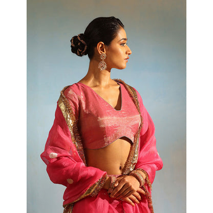WeaverStory Pink Tissue Silk Lehenga with Choli and Organza Dupatta (Set of 3)