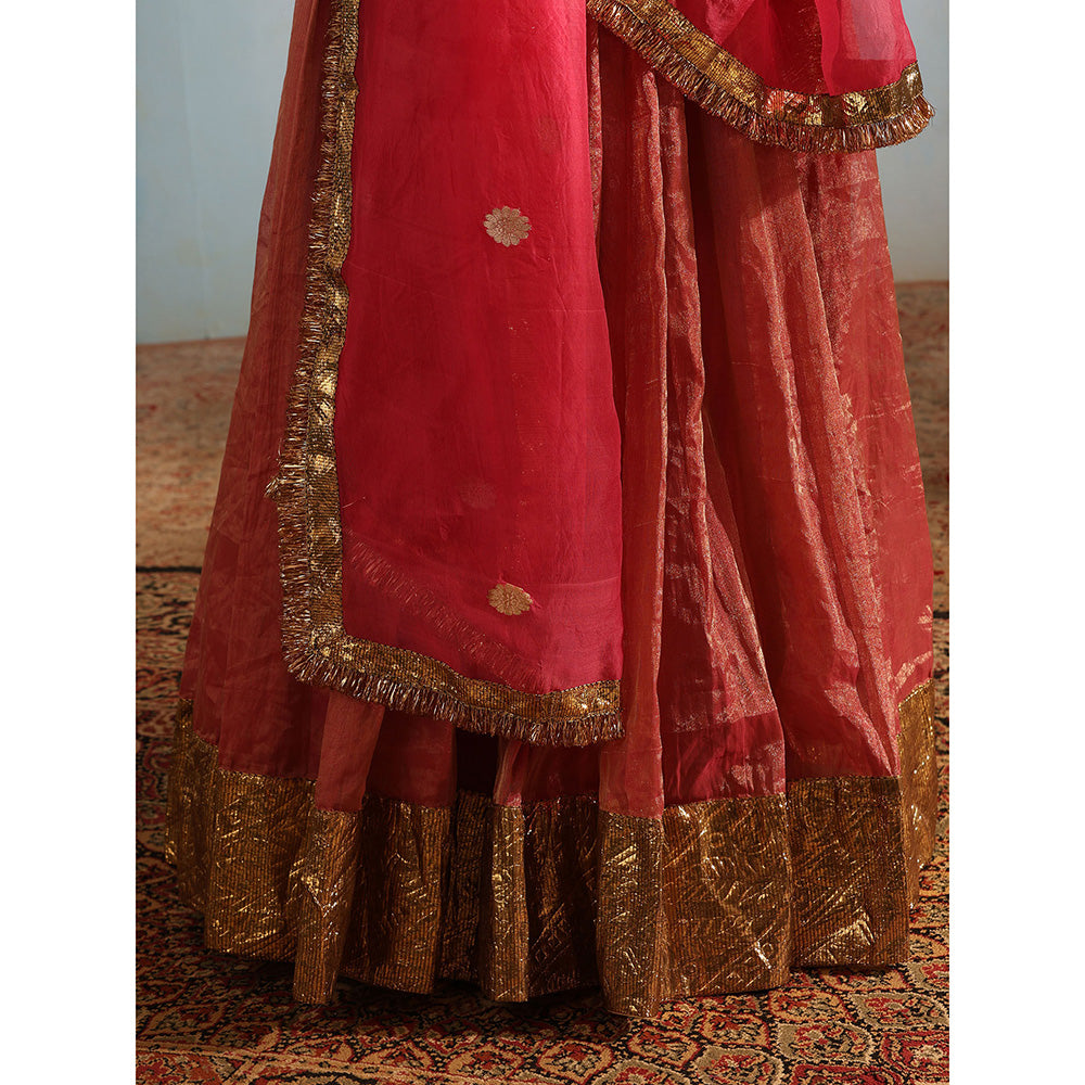 WeaverStory Pink Tissue Silk Lehenga with Choli and Organza Dupatta (Set of 3)
