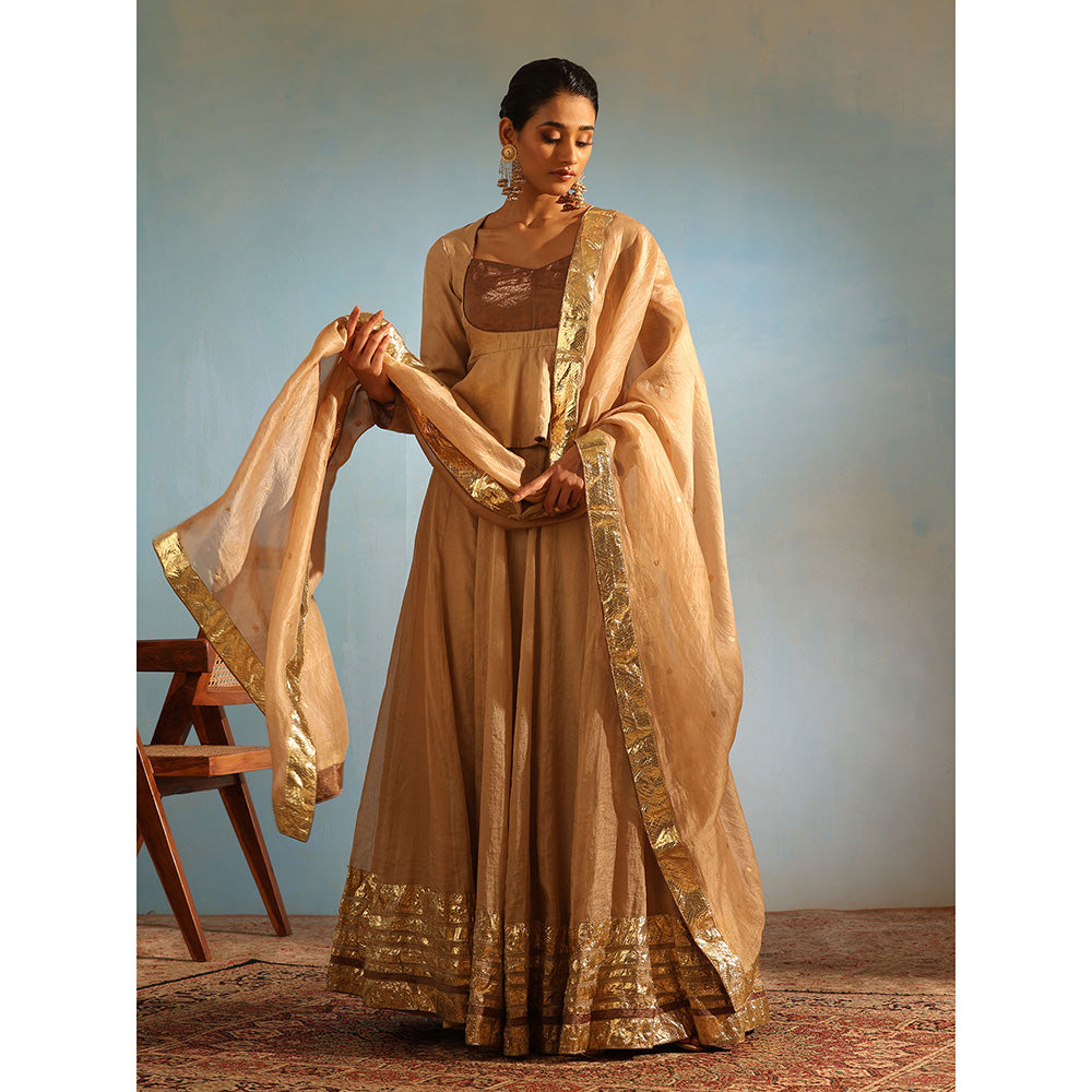 WeaverStory Beige Tissue Silk Lehenga with Choli and Organza Dupatta (Set of 3)
