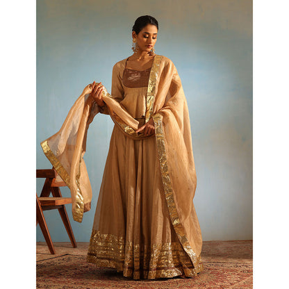 WeaverStory Beige Tissue Silk Lehenga with Choli and Organza Dupatta (Set of 3)