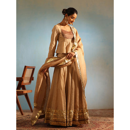 WeaverStory Beige Tissue Silk Lehenga with Choli and Organza Dupatta (Set of 3)