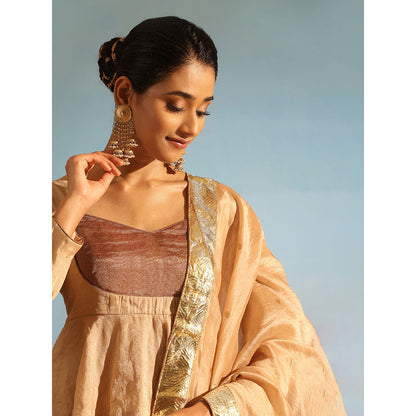 WeaverStory Beige Tissue Silk Lehenga with Choli and Organza Dupatta (Set of 3)