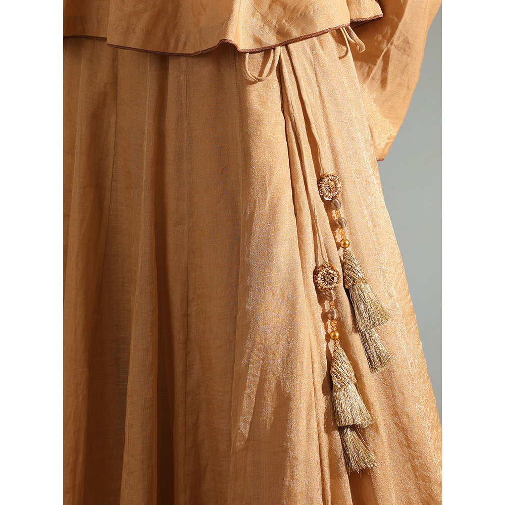 WeaverStory Beige Tissue Silk Lehenga with Choli and Organza Dupatta (Set of 3)