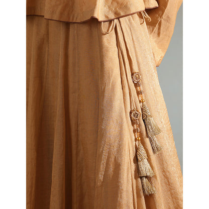 WeaverStory Beige Tissue Silk Lehenga with Choli and Organza Dupatta (Set of 3)