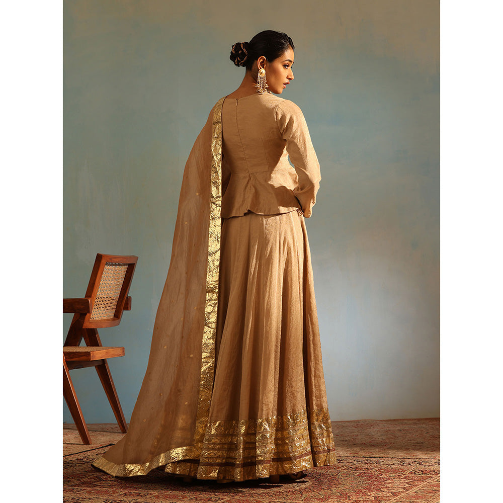 WeaverStory Beige Tissue Silk Lehenga with Choli and Organza Dupatta (Set of 3)