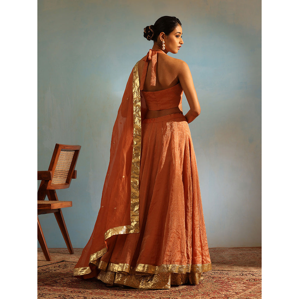 WeaverStory Orange Tissue Silk Kalidaar Lehenga with Choli Organza Dupatta (Set of 3)