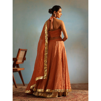 WeaverStory Orange Tissue Silk Kalidaar Lehenga with Choli Organza Dupatta (Set of 3)