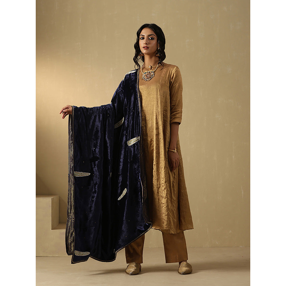 WeaverStory Navy Blue Hand Embroidered Zardozi Silk Velvet Goshala With Dupatta